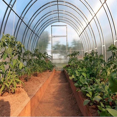 Greenhouse